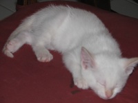 20100206 445.JPG